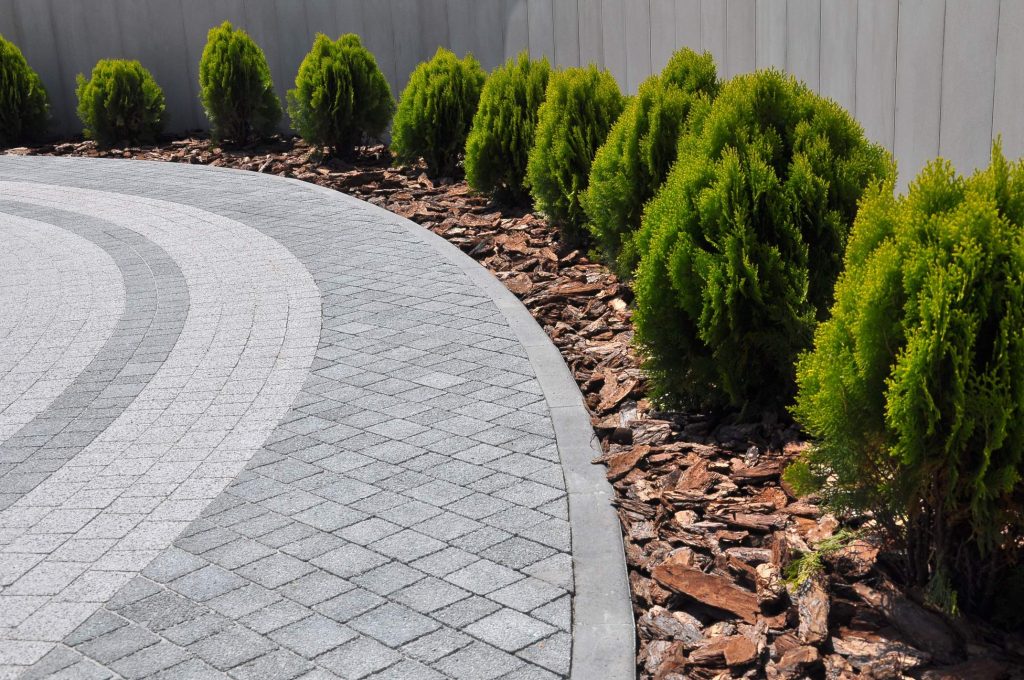 Masters Tree Service