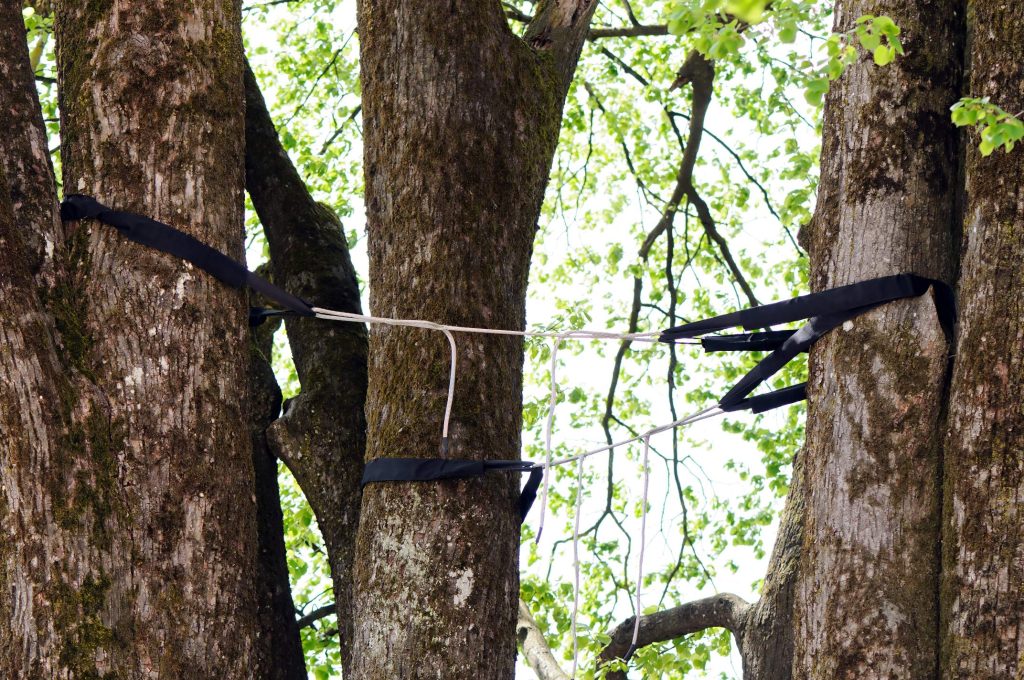 Masters Tree Service (2)