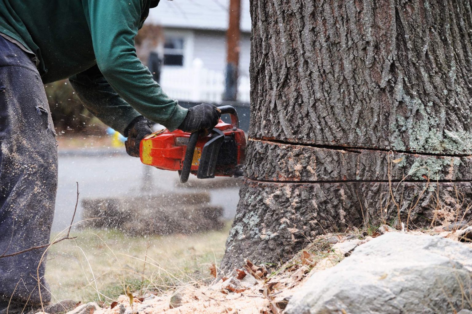 Masters Tree Service (5)